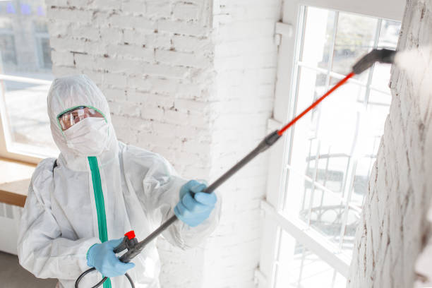 Best Commercial Mold Inspection  in Atlantic City, NJ