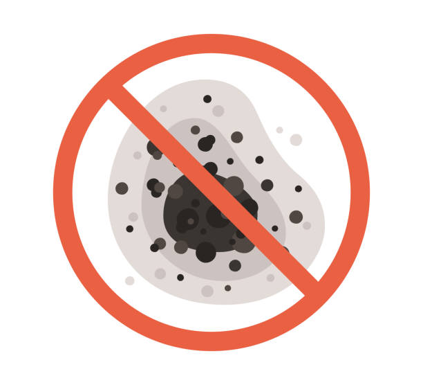 Best Environmental Consulting for Mold Prevention  in Atlantic City, NJ
